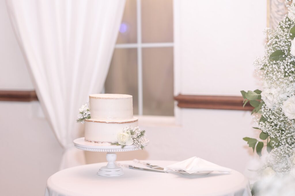 Minimalist Naked Wedding Cake | Casa Marina Jacksonville Florida