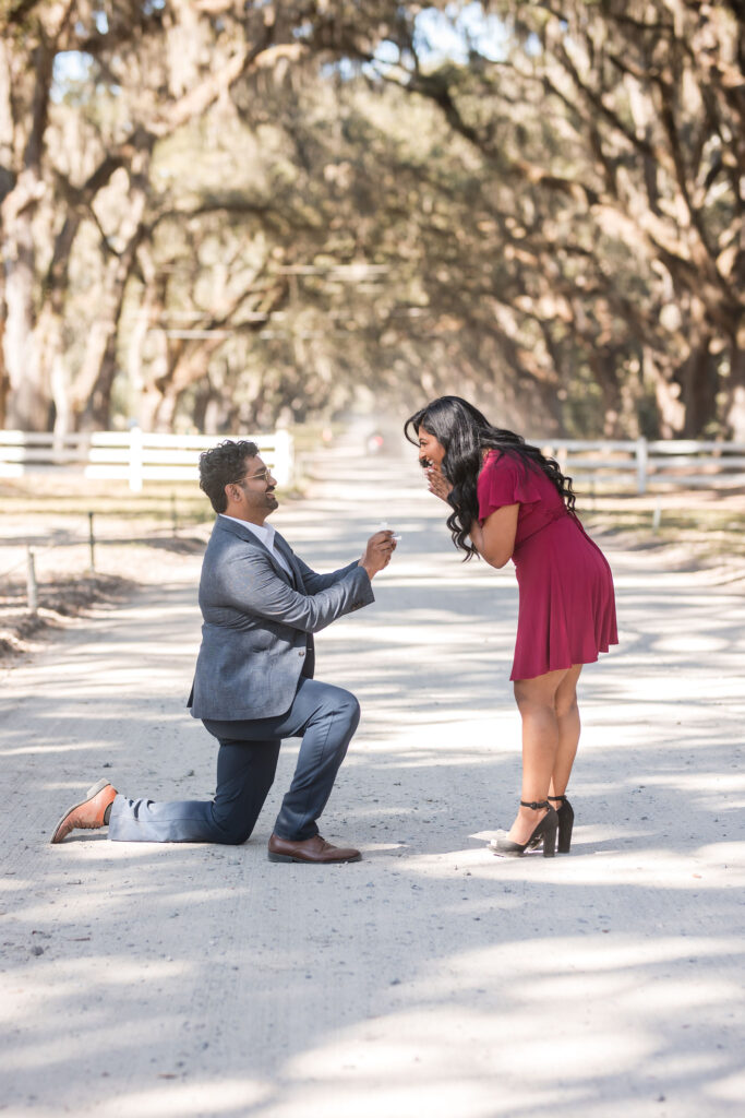 Engagement proposal at Wormsloe Historic Site in Savannah, GA