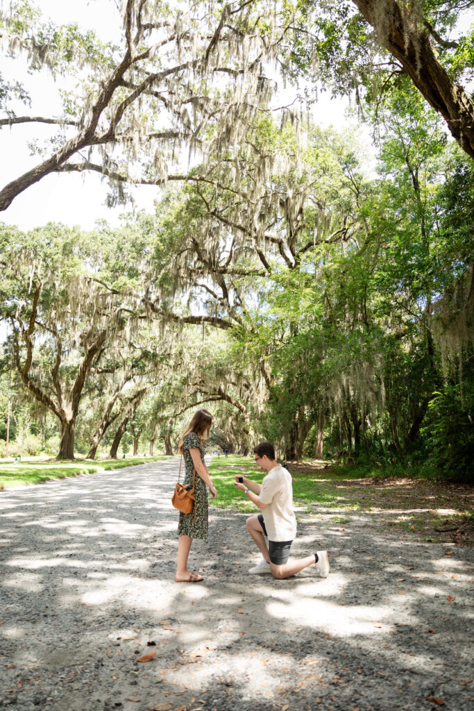 Wormsloe Proposal Photos | Proposal Photographer in Savannah | Phavy Photography