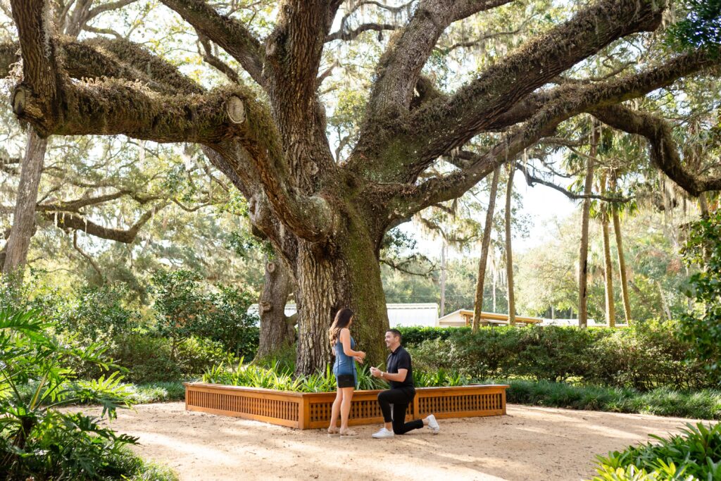 Surprise Proposal at Washington Oaks Gardens State Park, Palm Coast Florida