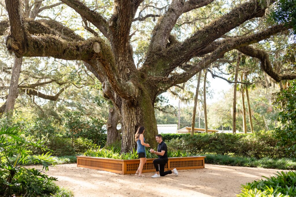 Washington Oaks Proposal Photo