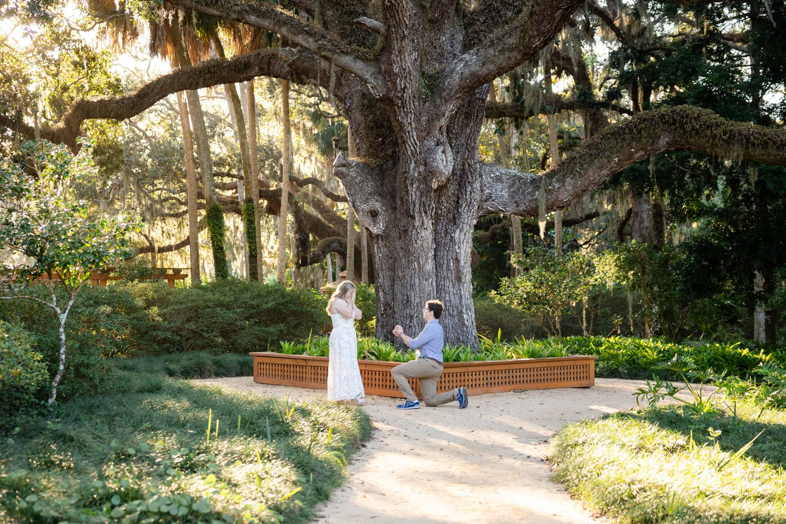 St Augustine Proposals | Proposal At Washington Oaks State Park