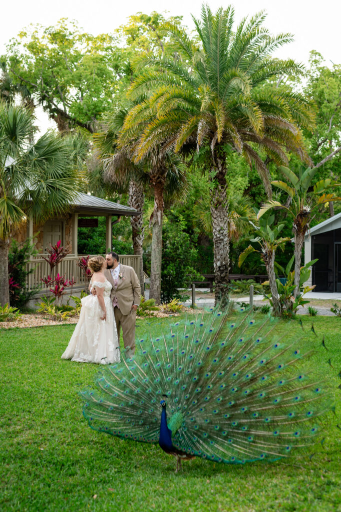 Magnolia Ave Wedding Photos | St. Augustine Fl Wedding Photographer