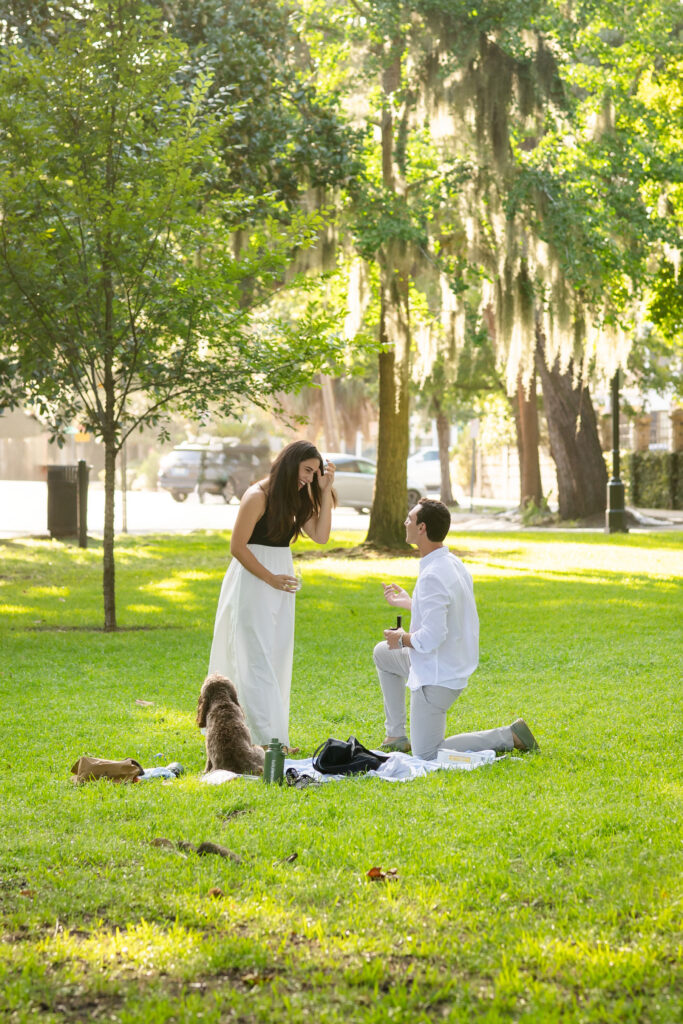 Savannah Forsyth Park picnic surprise proposal